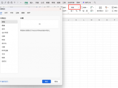 Excel/WPS新手必学!单元格格式设置超全指南,一看就会